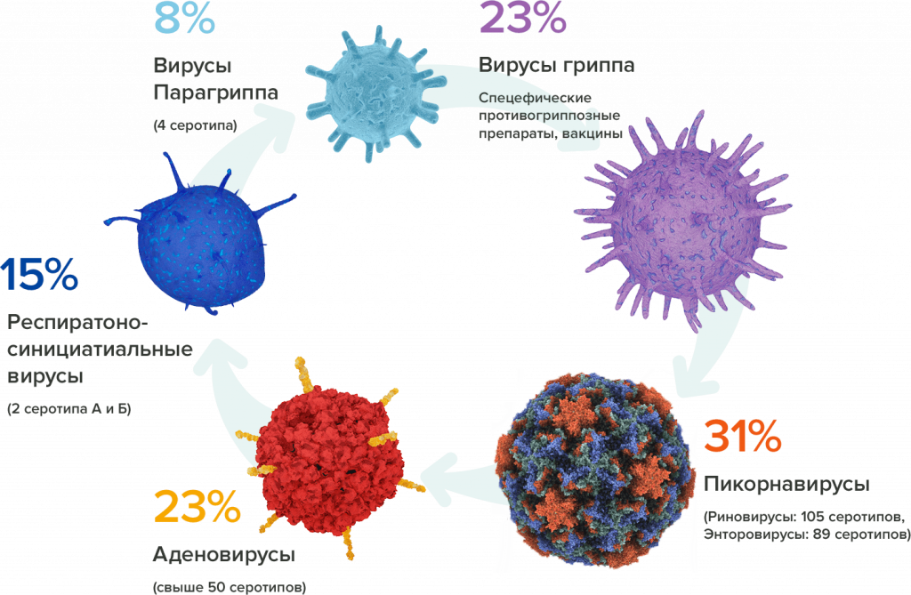 Как определить тип вируса гриппа