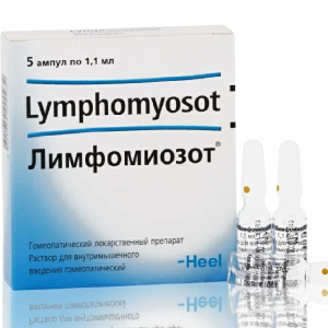 Лимфомиозот р-р д/в/м введ гомеопат амп 1,1мл №5 Купить Лимфомиозот р-р д/в/м введ гомеопат амп 1,1мл №5