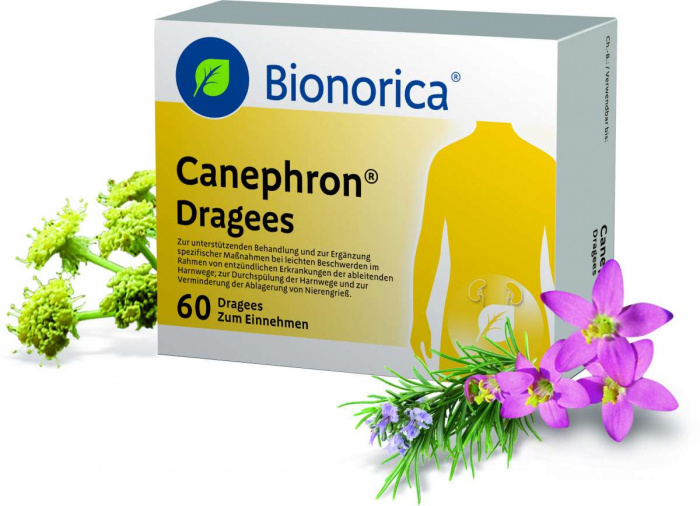 Канефрон – растительное противомикробное средство