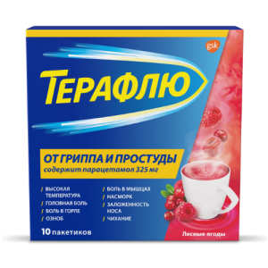 Терафлю пор д/р-ра д/внутр №10 лесные ягоды