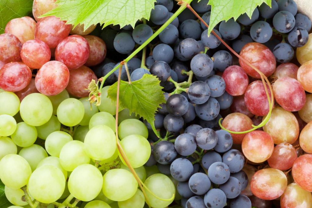 Виноград: полезные свойства и его особенности
