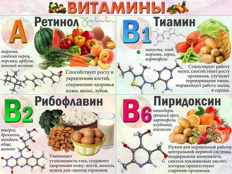 Свойства и характер влияния витамина B5 на организм человека
