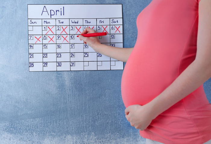 Как рассчитать срок беременности по неделям
