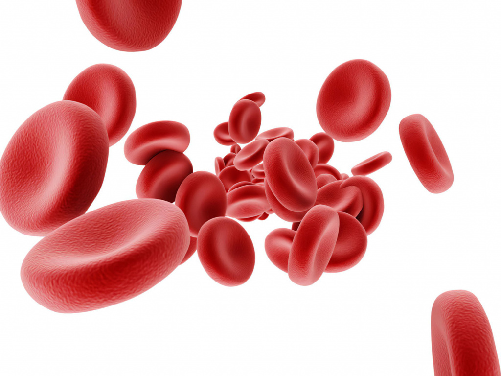 Эритроциты в крови: норма, почему превышены, основные причины у мужчин и женщин