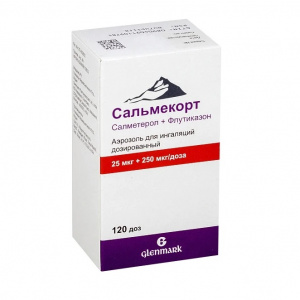Купить  Сальмекорт аэроз д/инг доз 25мкг+250мкг 120ДОЗ