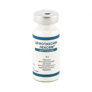 Купить  Цефотаксим пор д/р-ра д/в/в и в/м введ фл 1г №1