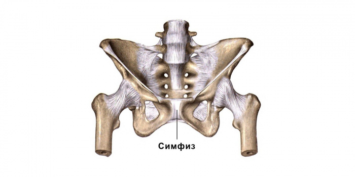 Симфизит при беременности как определяет врач
