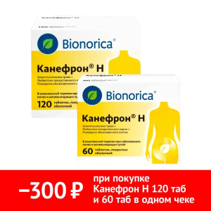 Купить  Набор Канефрон Н 120 таб + Канефрон Н 60 таб
