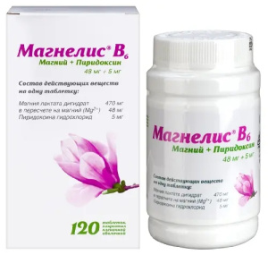 Купить  Магнелис В6 таб ппо №120