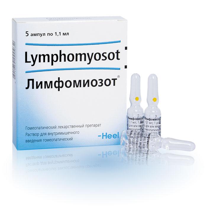 «Лимфомиозот»: от чего помогает, инструкция по применению, где купить без рецепта