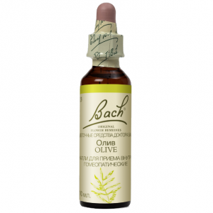 Купить  Капли баха №23 Олив (Маслина) — Испытываете физическое и умственное утомление, 10мл