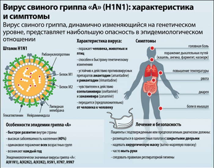 Почему вирус гриппа не остается в организме
