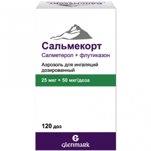 Купить  Сальмекорт аэроз д/инг доз 25мкг+50мкг 120ДОЗ