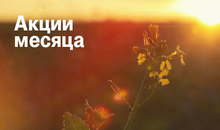 Акции месяца июль 2026