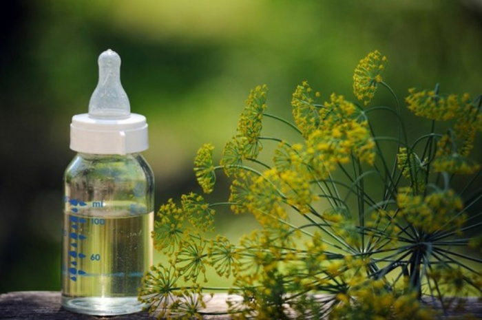 Укропная водичка для новорожденных: цены, инструкция Укропная водичка для новорожденных: цены, инструкция