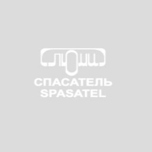 СПАСАТЕЛЬ