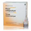 Купить Гепар Композитум р-р д/в/м и п/к введ амп 2,2мл №100