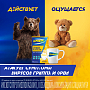 Купить Терафлю порошок д/р-ра д/внутр №4 лимон