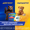 Купить ТераФлю Экстра лимон порошок д/р-ра №10