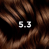 Купить Phyto color №5.3 краска для волос (светлый золотистый шатен) 