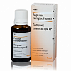Купить Популюс Композитум СР капли 30мл