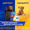Купить ТераФлю Экстра пор д/р-ра №4 лимон