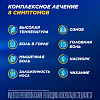 Купить Терафлю пор д/р-ра д/внутр №10 лесные ягоды