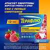 Купить Терафлю пор д/р-ра д/внутр №10 лесные ягоды