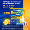Купить Терафлю пор д/раствора д/внутр №10 лимон
