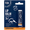 Купить Кемикал Барберс бальзам д/губ 3в1 бодрящая корица