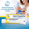 Купить Пантодерм мазь для наружного применения 5% 30г
