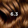 Купить Phyto color №6.3 краска для волос (темный золотистый блонд)