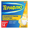 Купить Терафлю пор д/р-ра д/внутр применения пак №14 лимон