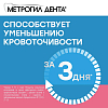 Купить Метрогил Дента гель стоматологический 20г