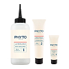 Купить Phyto color №5.3 краска для волос (светлый золотистый шатен) 