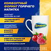 Купить Терафлю пор д/р-ра д/внутр №10 лесные ягоды