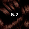 Купить Phyto color №5.7 краска для волос (светлый каштан)