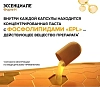 Купить Эссенциале Форте Н капс 300мг №180