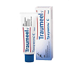 Купить Траумель С мазь для наружного применения 100г