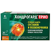 Купить Хондрогард Трио 20 шт порошок для внутреннего применения апельсин саше