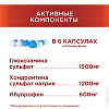 Купить Терафлекс Адванс 60 шт капсулы