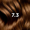 Купить Phyto color №7.3 краска для волос (золотистый блонд) 