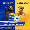 Купить Терафлю пор д/раствора д/внутр №10 лимон